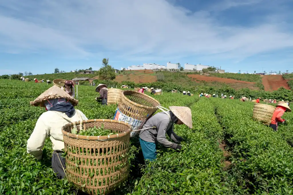 贵州卉京商贸劳保用品采购指南：选型要点与合规标准解析